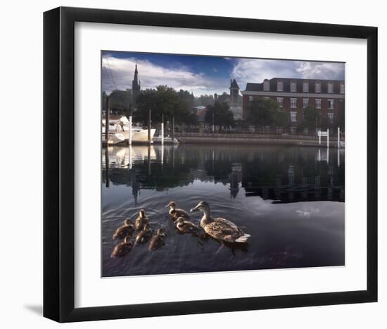 New Born Crossing-Steve Hunziker-Framed Art Print