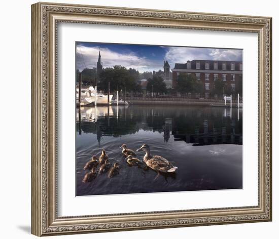 New Born Crossing-Steve Hunziker-Framed Art Print