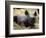 New Born Rhinoceros Zawadi Lifts its Head at the Zoo in Berlin-null-Framed Photographic Print