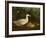 New Brood-Edward Neale-Framed Giclee Print