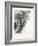 New Brunswick, Plaster Rocks, Tobique River, Canada, Nineteenth Century-null-Framed Giclee Print