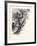 New Brunswick, Plaster Rocks, Tobique River, Canada, Nineteenth Century-null-Framed Giclee Print