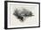 New Brunswick, River Front, Chatham, Canada, Nineteenth Century-null-Framed Giclee Print