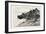 New Brunswick, St. John, Back of Harbour, Low Tide, Canada, Nineteenth Century-null-Framed Giclee Print