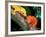 New Caledonia Crested Gecko, Native to New Caledonia-David Northcott-Framed Photographic Print