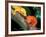 New Caledonia Crested Gecko, Native to New Caledonia-David Northcott-Framed Photographic Print