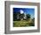 New Castle Amberg Germany-null-Framed Premium Giclee Print