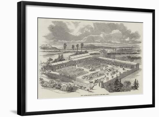 New Cattle-Market at Croydon-null-Framed Giclee Print