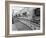 New Co-Op Central Butchers Department, Barnsley, South Yorkshire, 1957-Michael Walters-Framed Photographic Print