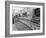 New Co-Op Central Butchers Department, Barnsley, South Yorkshire, 1957-Michael Walters-Framed Photographic Print