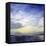 New Day 2-Mary Calkins-Framed Premier Image Canvas