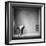 New Deco-Roswitha Schleicher-Schwarz-Framed Photographic Print