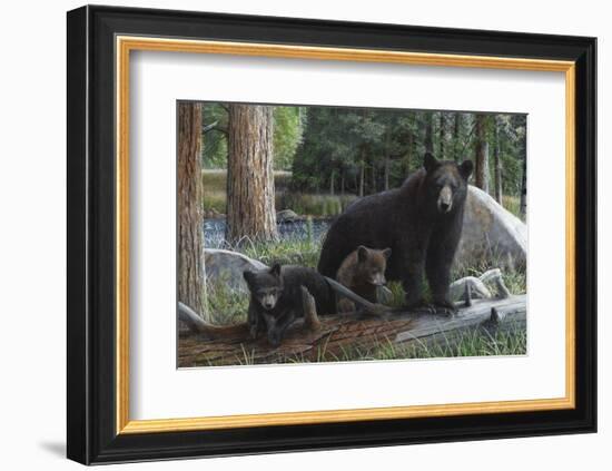 New Discoveries-Kevin Daniel-Framed Art Print