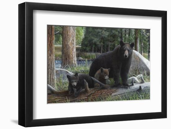 New Discoveries-Kevin Daniel-Framed Art Print