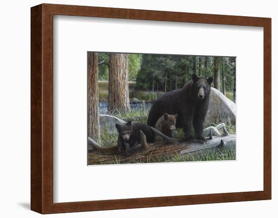 New Discoveries-Kevin Daniel-Framed Art Print