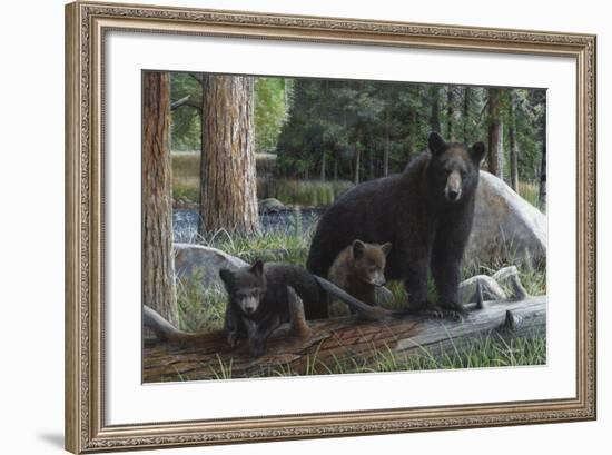 New Discoveries-Kevin Daniel-Framed Art Print