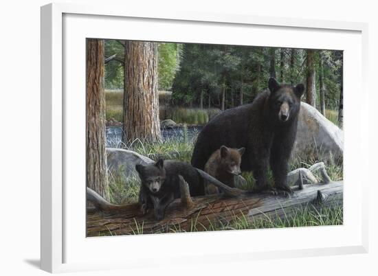 New Discoveries-Kevin Daniel-Framed Art Print