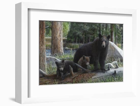 New Discoveries-Kevin Daniel-Framed Giclee Print