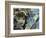 New Dramatic-Dan Monteavaro-Framed Giclee Print