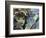 New Dramatic-Dan Monteavaro-Framed Giclee Print