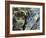 New Dramatic-Dan Monteavaro-Framed Giclee Print