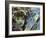 New Dramatic-Dan Monteavaro-Framed Giclee Print