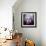 New Einstein 002-Rock Demarco-Framed Giclee Print displayed on a wall