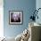 New Einstein 002-Rock Demarco-Framed Giclee Print displayed on a wall