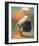 New Empire State Express-null-Framed Premium Giclee Print