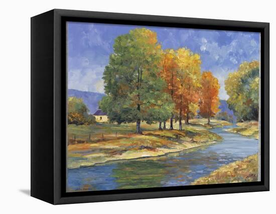 New England Autumn-John Zaccheo-Framed Premier Image Canvas