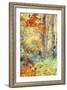 New England Fall Color Impressions-Vincent James-Framed Photographic Print