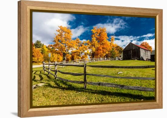 New England farm with Autumn Sugar Maples-null-Framed Premier Image Canvas