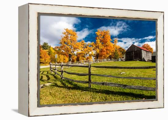 New England farm with Autumn Sugar Maples-null-Framed Premier Image Canvas