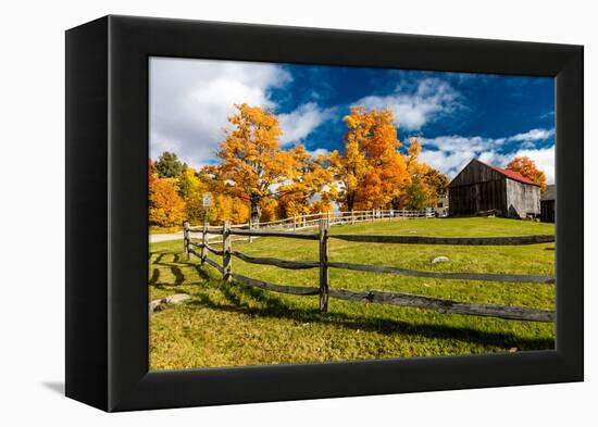 New England farm with Autumn Sugar Maples-null-Framed Premier Image Canvas