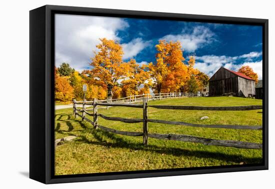 New England farm with Autumn Sugar Maples-null-Framed Premier Image Canvas