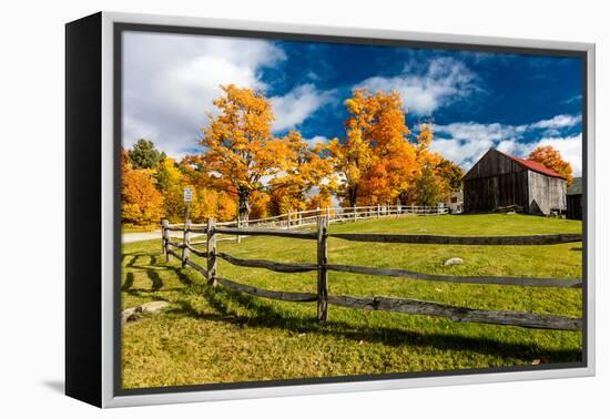 New England farm with Autumn Sugar Maples-null-Framed Premier Image Canvas