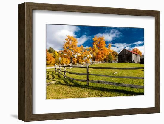 New England farm with Autumn Sugar Maples-null-Framed Photographic Print