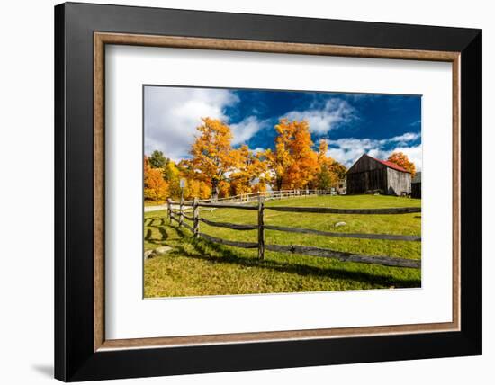 New England farm with Autumn Sugar Maples-null-Framed Photographic Print