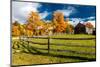 New England farm with Autumn Sugar Maples-null-Mounted Photographic Print