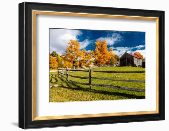 New England farm with Autumn Sugar Maples-null-Framed Photographic Print