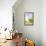 New England I-Jane Slivka-Framed Stretched Canvas displayed on a wall