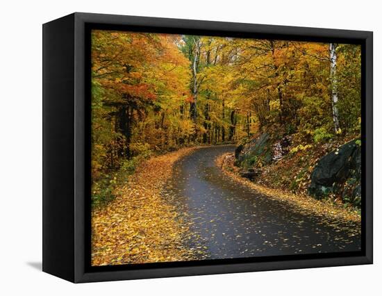 New England Road in Autumn-Darrell Gulin-Framed Premier Image Canvas