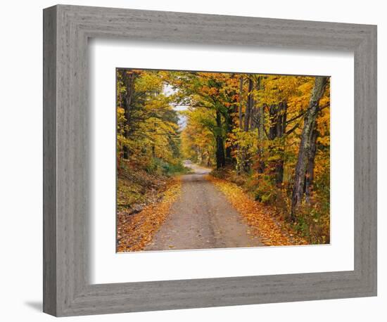 New England Road in Autumn-Darrell Gulin-Framed Photographic Print