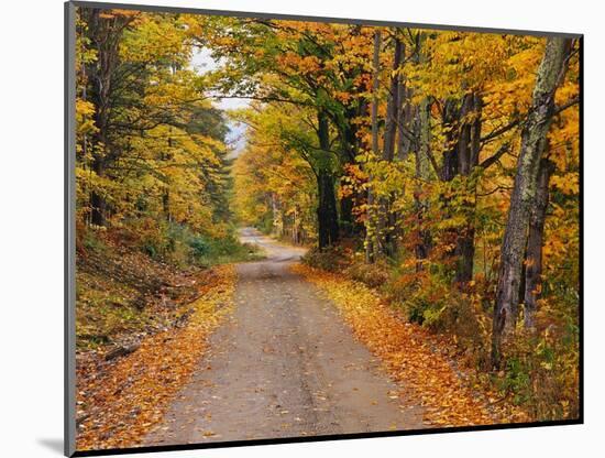 New England Road in Autumn-Darrell Gulin-Mounted Photographic Print
