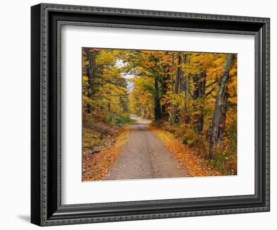 New England Road in Autumn-Darrell Gulin-Framed Photographic Print