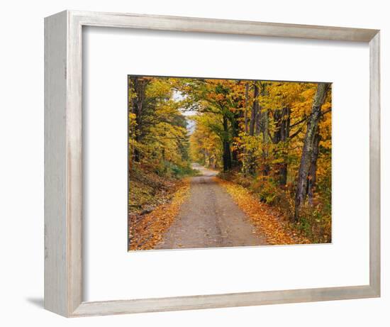 New England Road in Autumn-Darrell Gulin-Framed Photographic Print