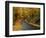 New England Road in Autumn-Darrell Gulin-Framed Photographic Print