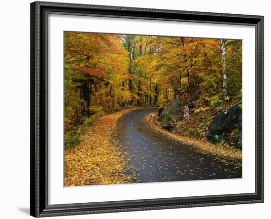 New England Road in Autumn-Darrell Gulin-Framed Photographic Print