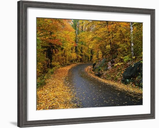 New England Road in Autumn-Darrell Gulin-Framed Photographic Print