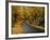 New England Road in Autumn-Darrell Gulin-Framed Photographic Print